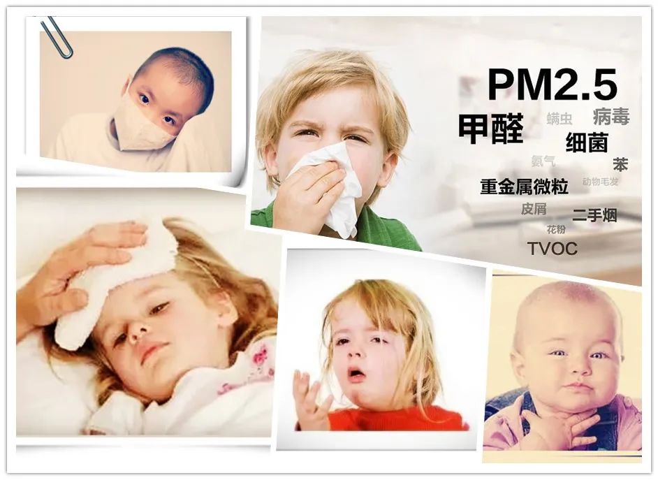 甲醛严重会致癌，新房子除甲醛找双博士