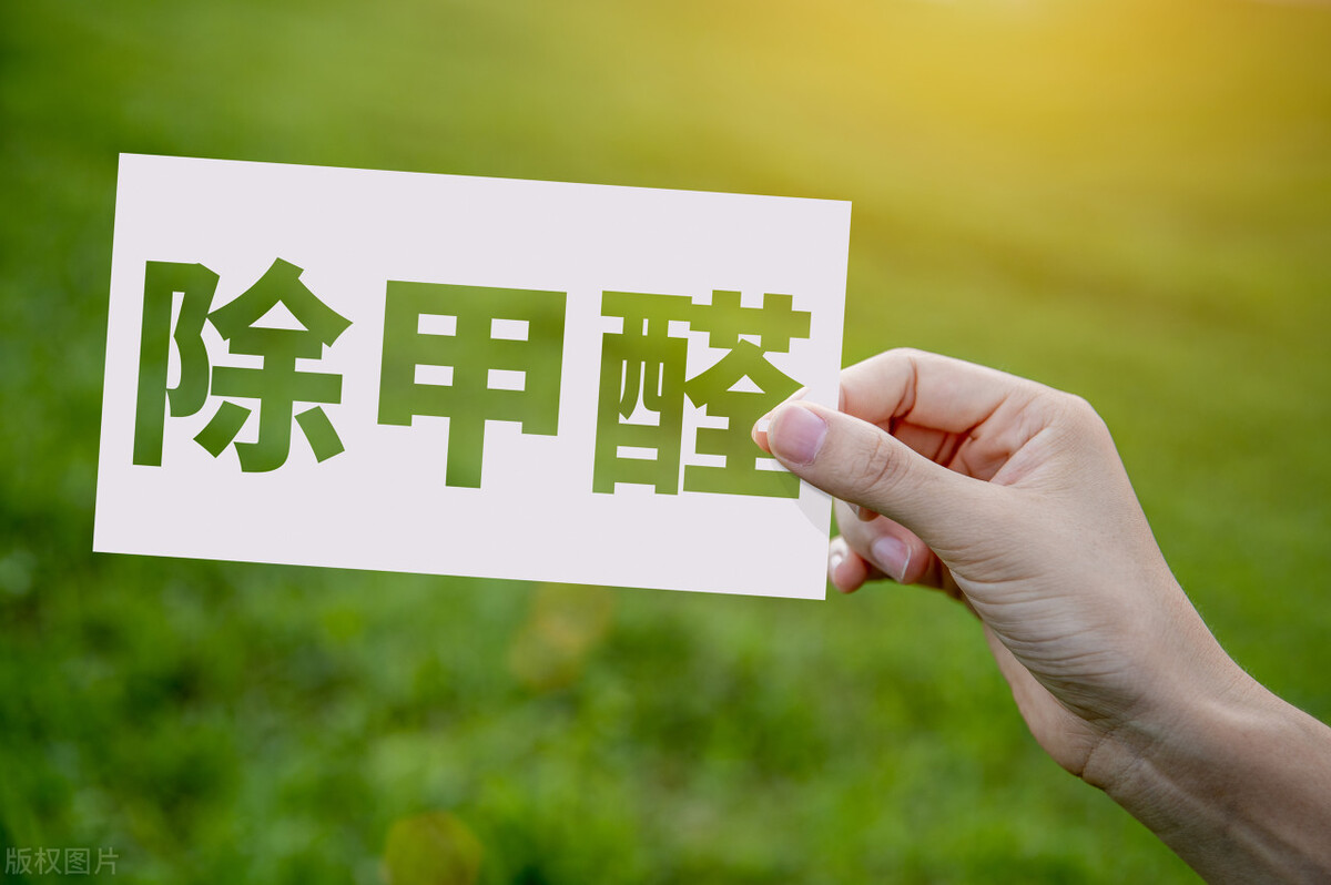 甲醛去除的正确方法,双博士除醛妙招 甲醛去除的正确方法,双博士除醛妙招