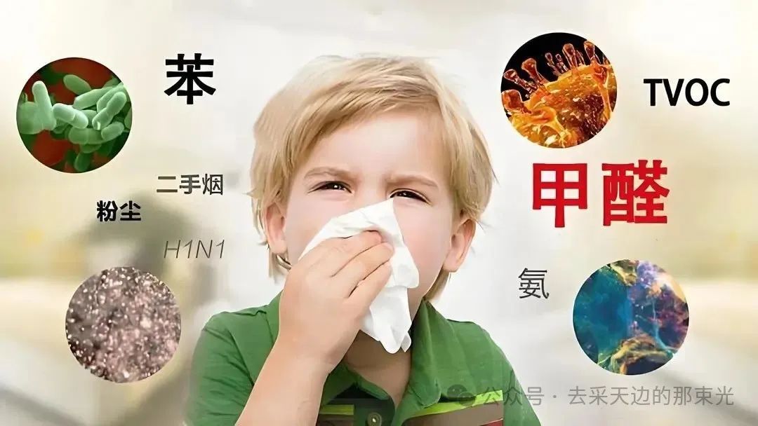 甲醛是孕妈与儿童的隐形杀手，双博士守护健康